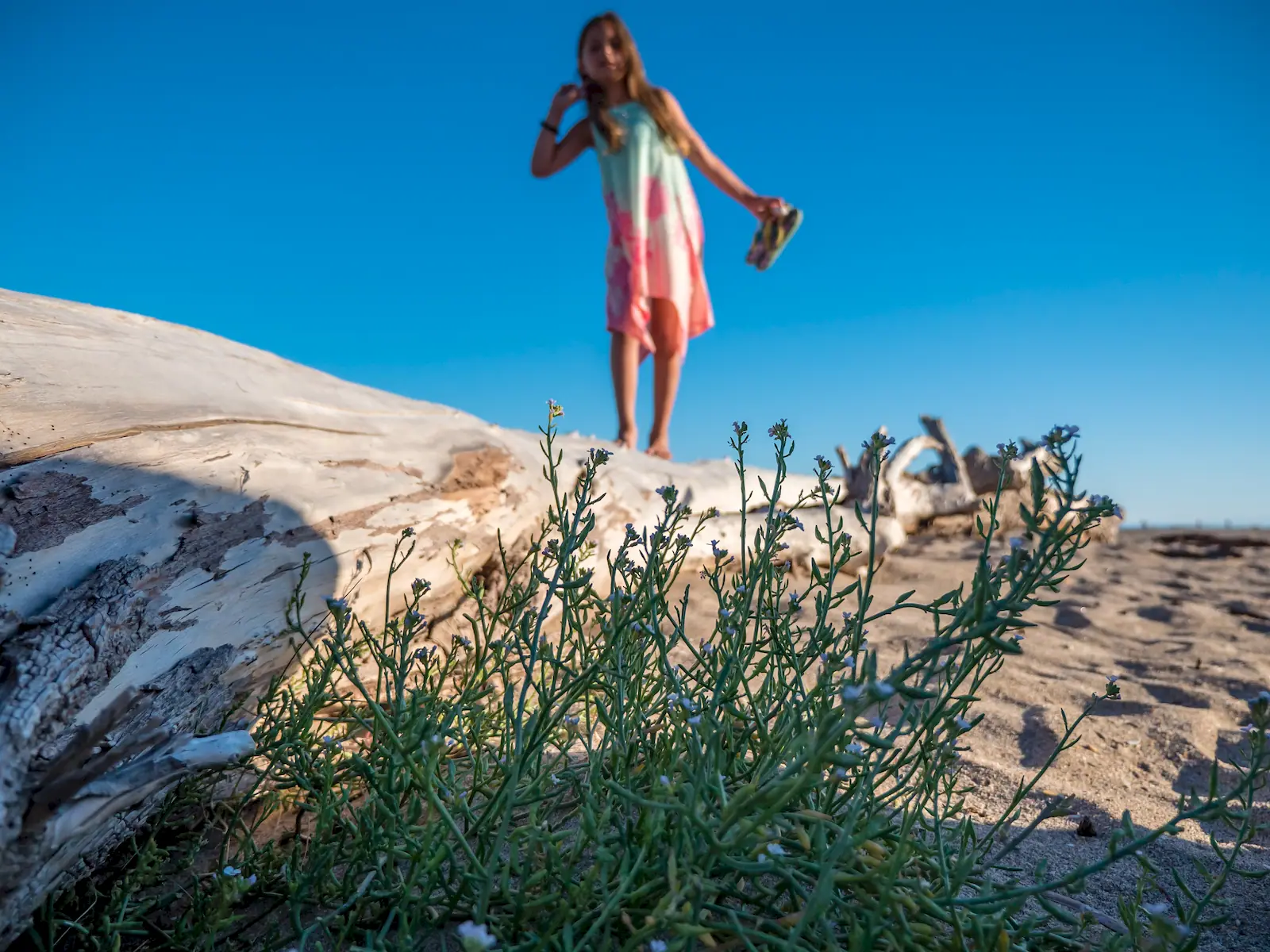 plage de valtras en occitanie