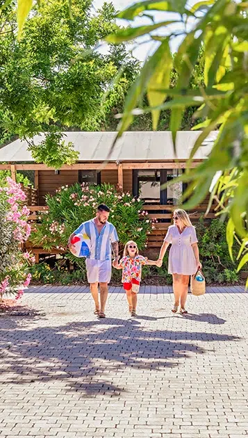 camping mas des lavandes