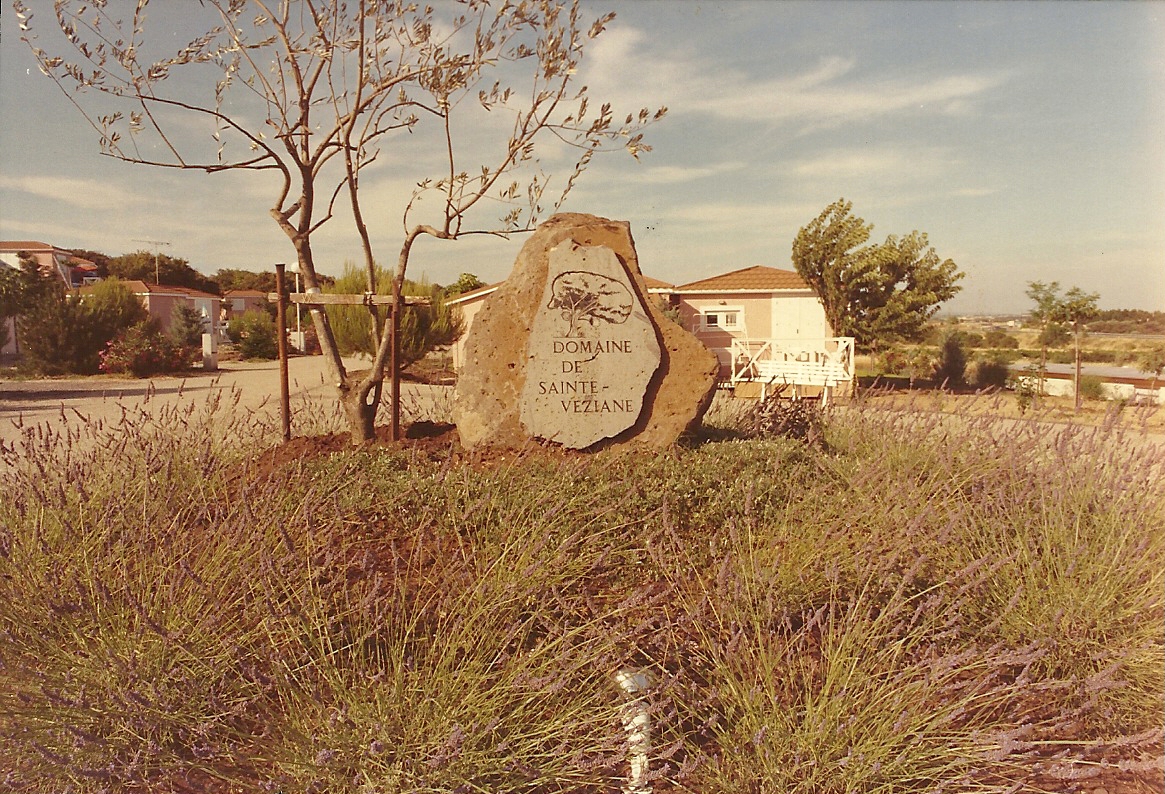 domaine ste veziane 1991 (2)